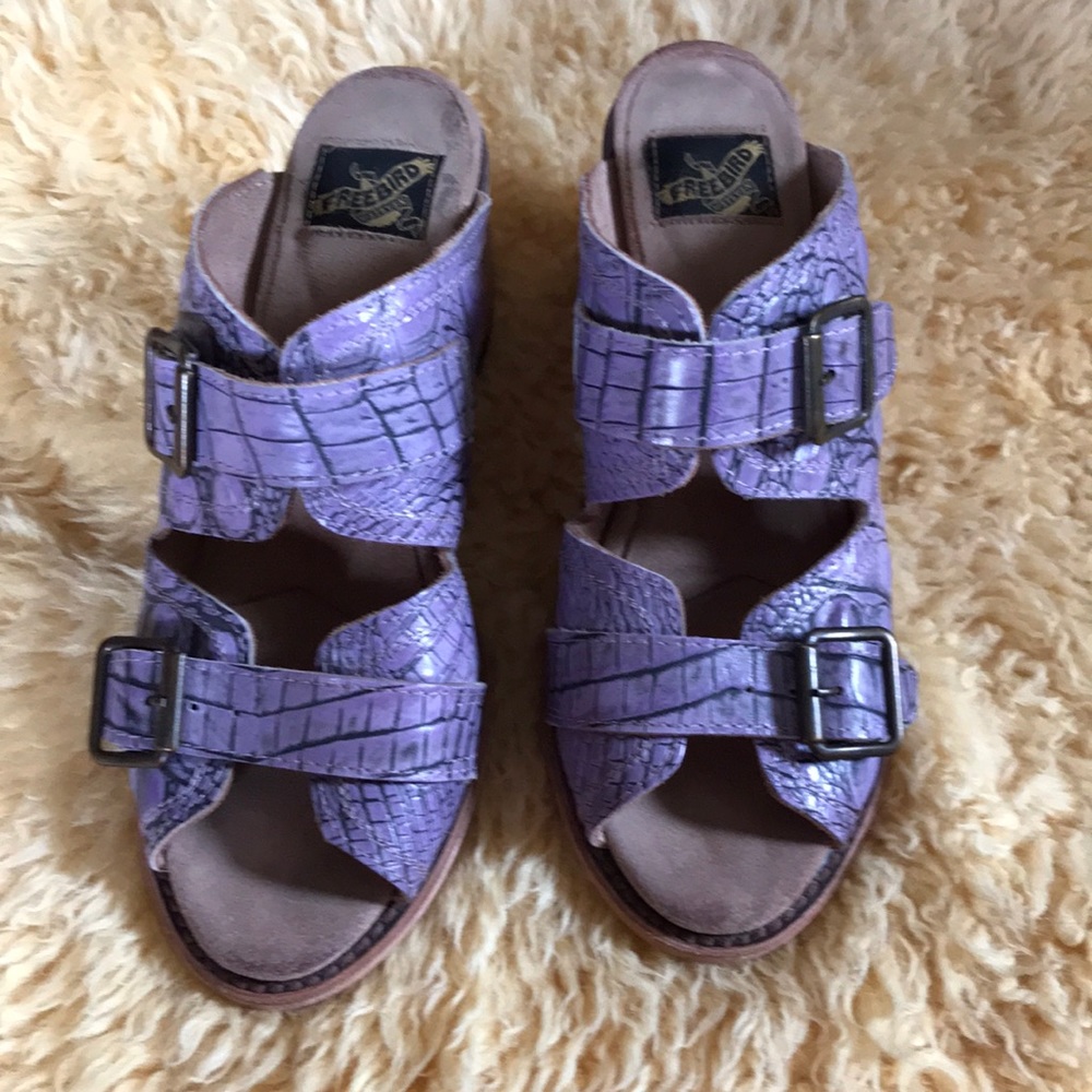 Freebird Caprice 8 - image 1